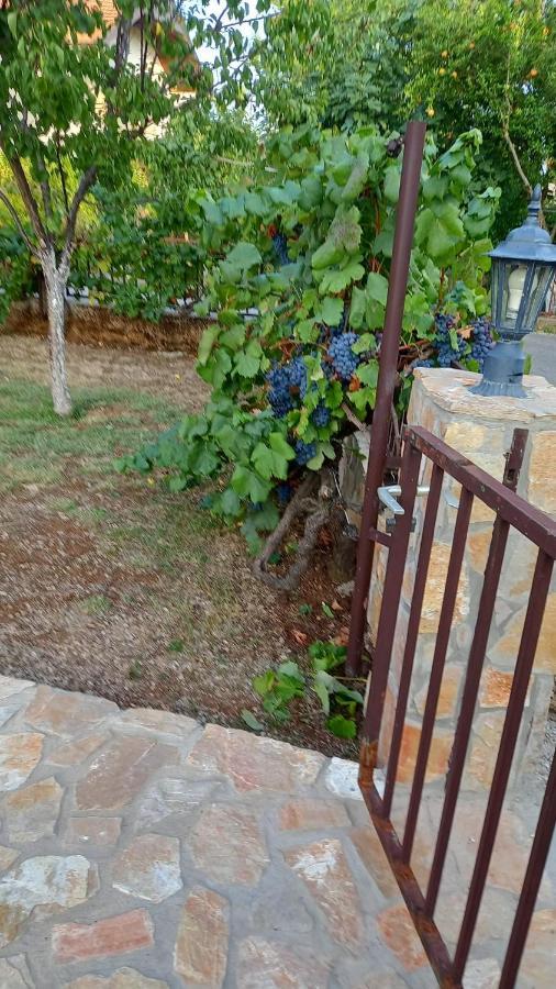 Villa Vinka Mostar Ngoại thất bức ảnh
