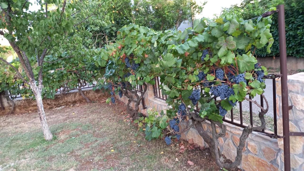 Villa Vinka Mostar Ngoại thất bức ảnh